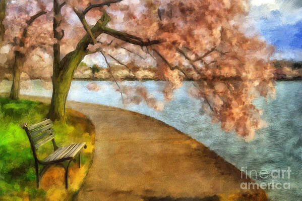 Landscape Poster featuring the photograph The Cherry Blossom Festival #2 by Lois Bryan