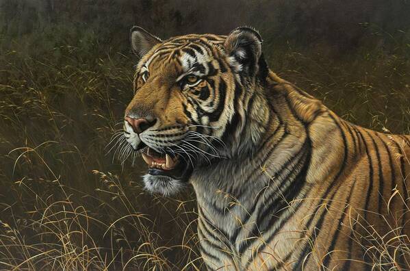 Wildlife Paintings Poster featuring the painting Tiger Portrait #1 by Alan M Hunt