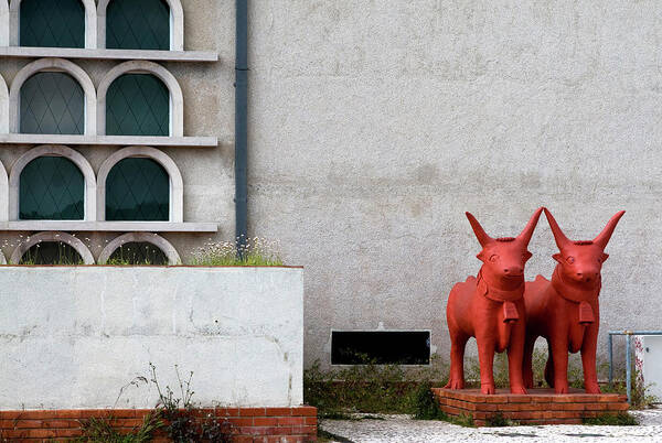 Lisbon Poster featuring the photograph Two Orange Bulls #2 by Lorraine Devon Wilke