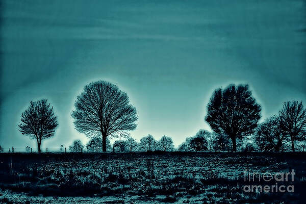 Trees Artistic Poster featuring the photograph Two Trees #1 by Rick Bragan