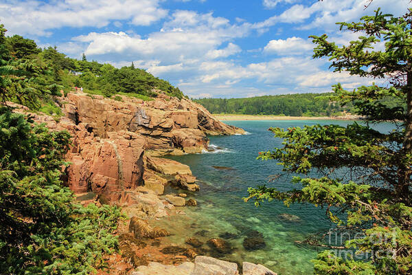 Elizabeth Dow Poster featuring the photograph View to Sand Beach #1 by Elizabeth Dow