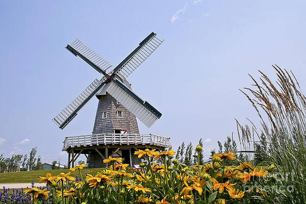 Windmill Poster featuring the photograph Windmill #1 by Teresa Zieba