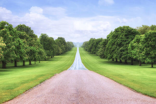 Windsor Castle Poster featuring the photograph Windsor Castle - Long Walk #1 by Joana Kruse