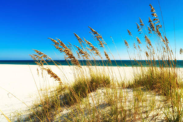 Florida Poster featuring the photograph Beautiful Beach #10 by Raul Rodriguez