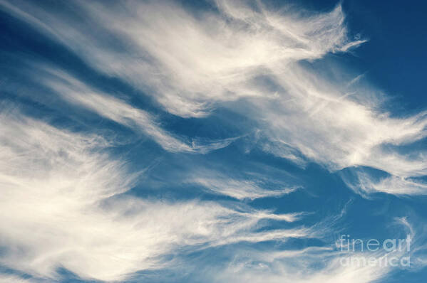 Atmosphere Poster featuring the photograph Cirrus Fibratus Fair Weather Clouds #10 by Jim Corwin