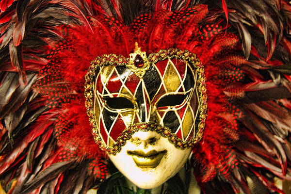 Venetian Poster featuring the photograph Venetian Carnaval Mask #12 by David Smith