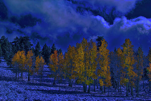 Autumn Poster featuring the photograph Rocky Mountain Fall #126 by Mark Smith