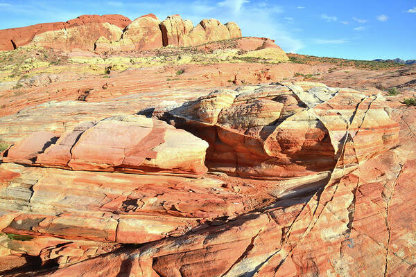 Valley Of Fire State Park Poster featuring the photograph Valley of Fire High Country #13 by Ray Mathis