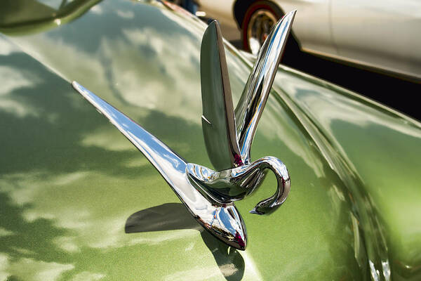 Hood Ornament Poster featuring the photograph 1950 Packard Eight Hood Ornament by Kristia Adams