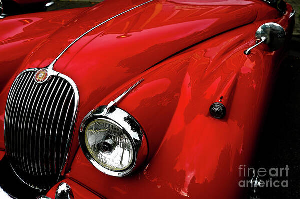 Jaguar Poster featuring the photograph Classic Red Jaguar Front View by M G Whittingham