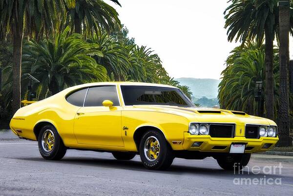 1970 rallye 350 sale