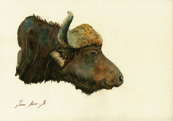 African Buffalo Art Poster featuring the painting African buffalo watercolor painting #2 by Juan Bosco