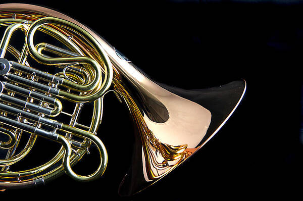 French Horn Poster featuring the photograph Color French horn #2 by M K Miller