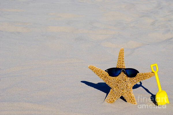 Starfish Poster featuring the photograph Cool Starfish #2 by Anthony Totah