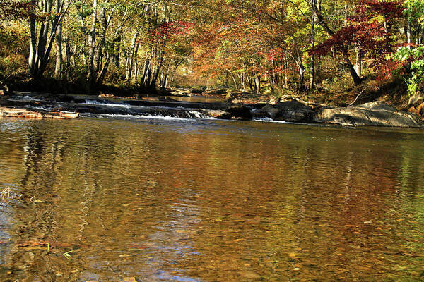 Water Poster featuring the photograph Creek water flowing through woods in autumn #2 by Emanuel Tanjala