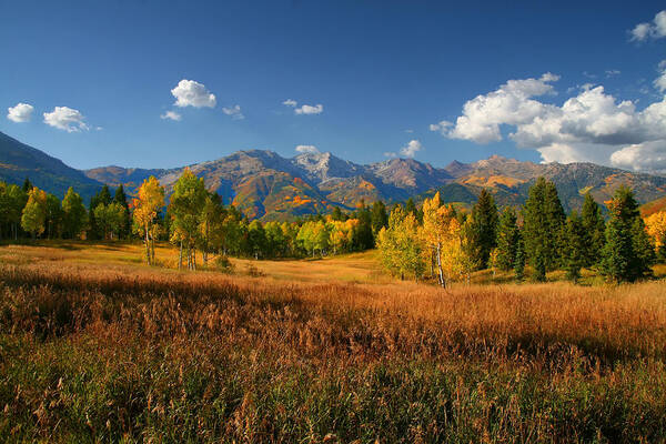 Autumn Poster featuring the photograph Fall Colors #2 by Mark Smith
