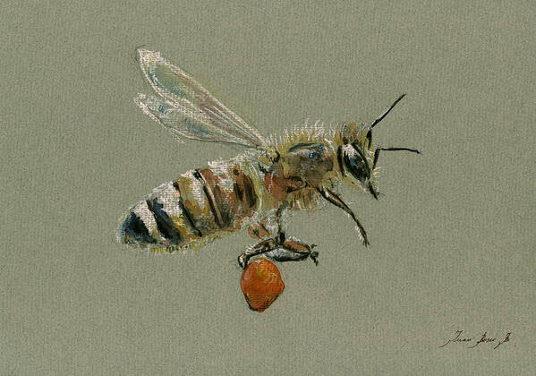 Honey Bee Art Poster featuring the painting Honey bee watercolor painting #2 by Juan Bosco