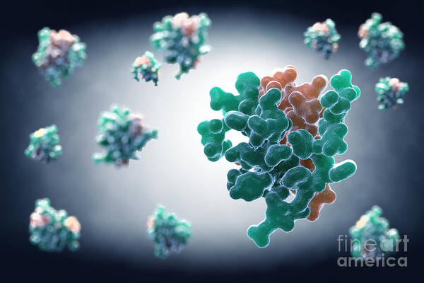Digitally Generated Image Poster featuring the photograph Insulin 2hiu #2 by Science Picture Co