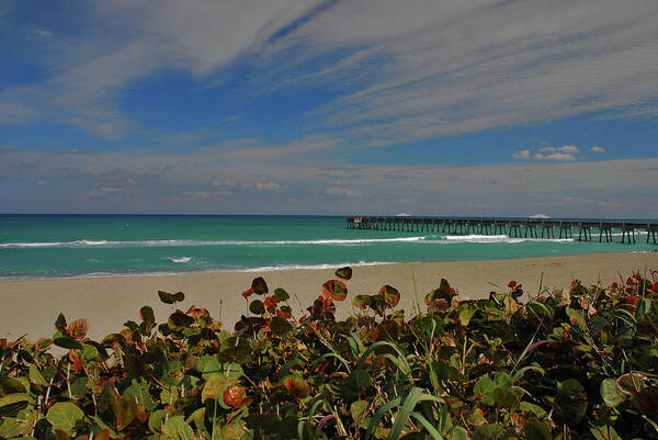 Juno Pier Poster featuring the photograph 2- Juno Pier by Joseph Keane
