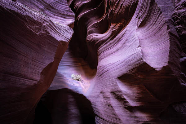 Antelope Canyon Poster featuring the photograph Just the Light #2 by Jon Glaser
