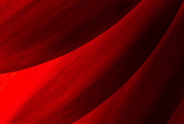 Abstract Poster featuring the photograph Red Abstract of Chrysanthemum Petals #3 by John Williams