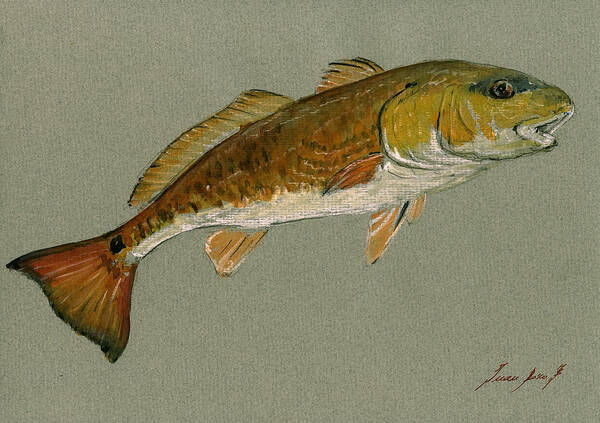 Redfish Poster featuring the painting Redfish painting #2 by Juan Bosco