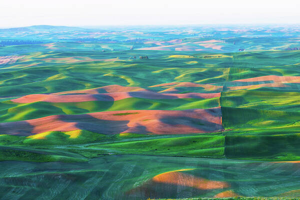 Landscape Poster featuring the photograph Rolling wheat field - Palouse #2 by Hisao Mogi
