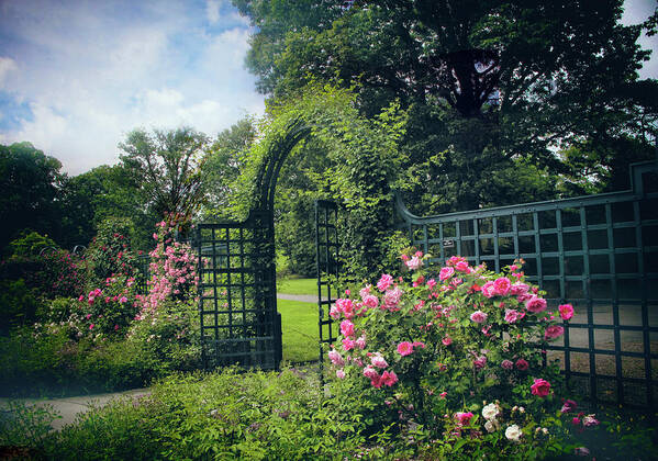 New York Botanical Garden Poster featuring the photograph Rose Garden Gate #2 by Jessica Jenney