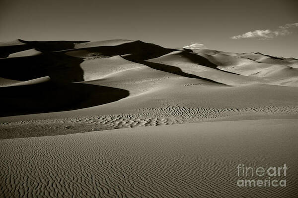 Sand Dunes Poster featuring the photograph Sand Dunes #2 by Timothy Johnson