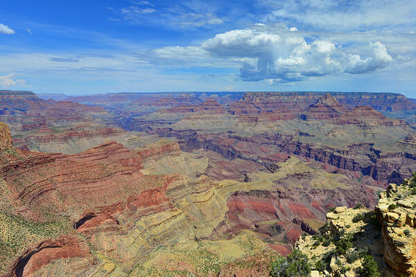 Mark Whitt Poster featuring the photograph The Grand Canyon #2 by Mark Whitt