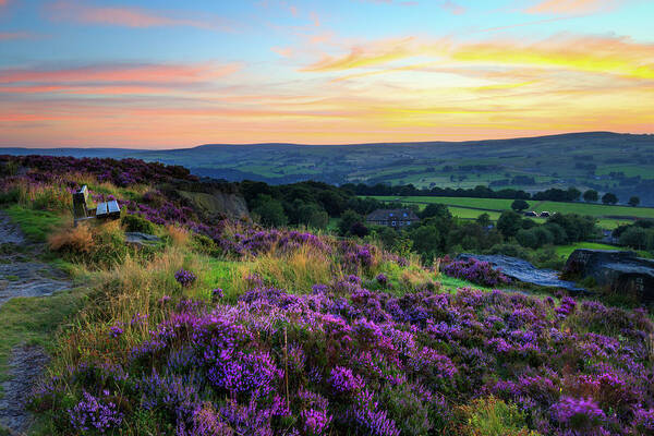 Flora Poster featuring the photograph Norland Moor Sunset #7 by Chris Smith