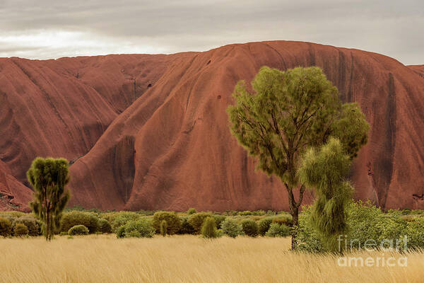 Mountain Poster featuring the photograph Uluru 08 by Werner Padarin