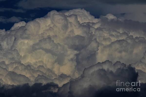 Clouds Poster featuring the photograph Marblehead MA #24 by Donn Ingemie