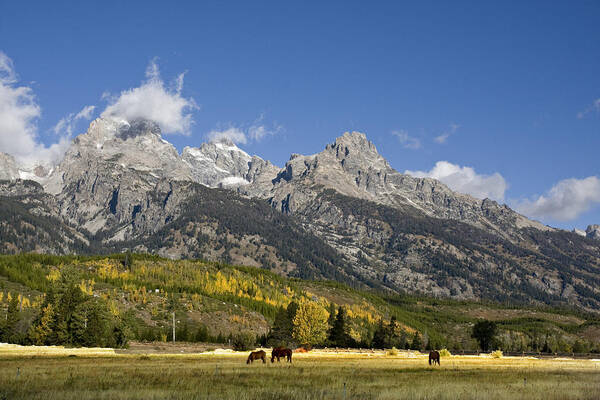 Wyoming Poster featuring the photograph Grand Teton National Park #28 by Mark Smith