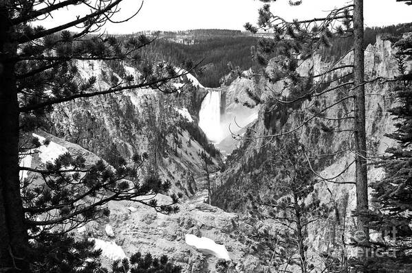 Yellowstone Poster featuring the photograph Lower Falls from Artist Point Yellowstone National Park Wyoming Black and White #2 by Shawn O'Brien