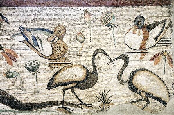 Animal Poster featuring the photograph Nile Flora And Fauna, Roman Mosaic #3 by Sheila Terry