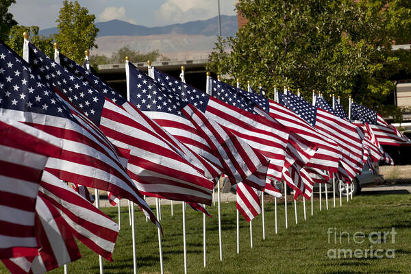 Flag Pole Poster featuring the photograph Patriotic flag display #3 by Anthony Totah
