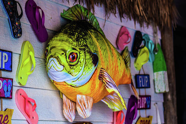 3D fish Poster by Michelle Lewis - Pixels
