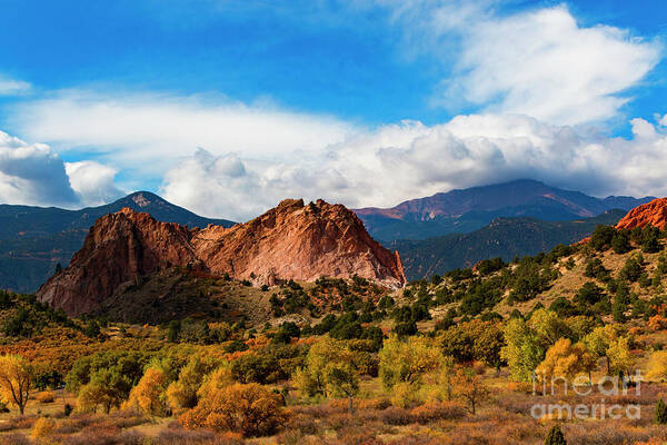 Aspen Poster featuring the photograph Autumn in Garden of the Gods #4 by Steven Krull