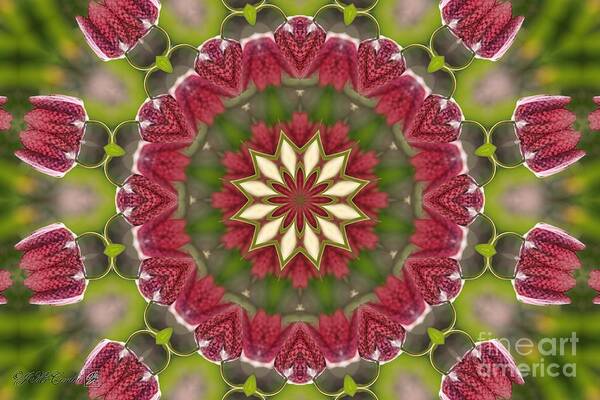 Mccombie Poster featuring the digital art Checkered Lilies Mandala #2 by J McCombie
