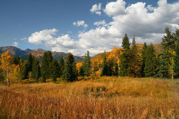 Autumn Poster featuring the photograph Fall Colors by Mark Smith