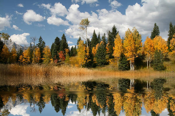 Autumn Poster featuring the photograph Fall Refelctions #4 by Mark Smith