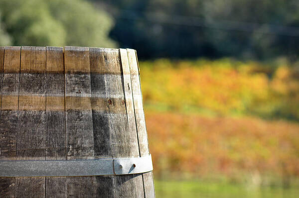 Beer Poster featuring the photograph Wine Barrel in Autumn #4 by Brandon Bourdages