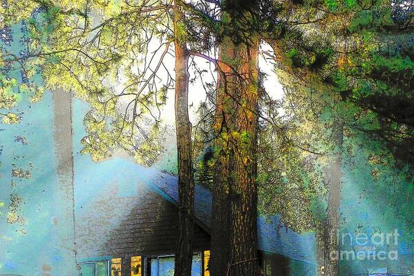 Idyllwild Poster featuring the photograph Idyllwild - Houses on the Hill #45 by Lisa Dunn