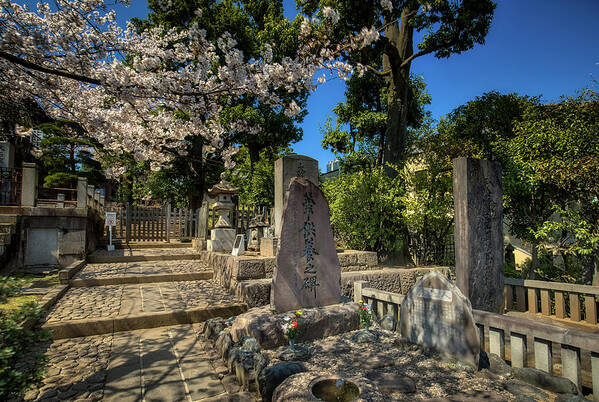 Sengaku-ji Temple Poster featuring the photograph 47 Samurai and Cherry Blossoms by Ross Henton