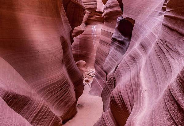 Lower Antelope Canyon Poster featuring the photograph Lower Antelope Canyon #7 by Craig Shaknis