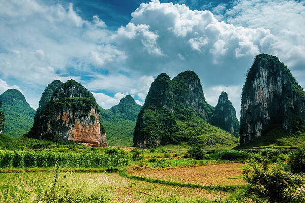 Karst Poster featuring the photograph Karst mountains and rural scenery #52 by Carl Ning
