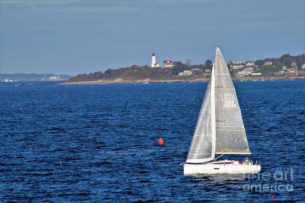 Seaside Poster featuring the photograph Marblehead MA #52 by Donn Ingemie