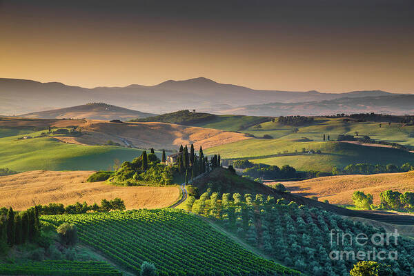 Agriculture Poster featuring the photograph A Morning in Tuscany #6 by JR Photography