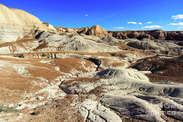Arizona Poster featuring the photograph Arizona Petrified Forest #6 by Raul Rodriguez